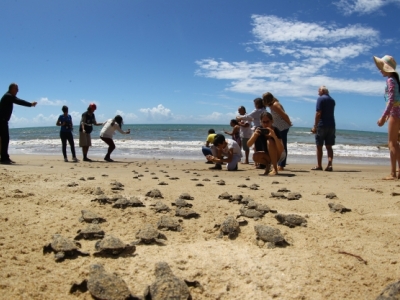 Divulgação/Chico Bezerra/Prefeitura de Jaboatão dos Guararapes